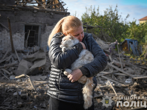 Під час ворожого обстрілу Запоріжжя літнє подружжя дивом врятувалося, а їхнім домашнім улюбленцям не пощастило - відео, фото