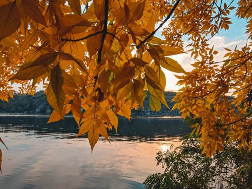 На запорізьку Хортицю прийшла золота осінь - фото