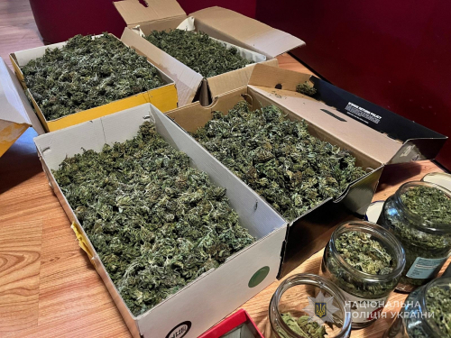 Заробляв мільйони: у Запоріжжі пенсіонер вирощував "елітний канабіс" (фото)