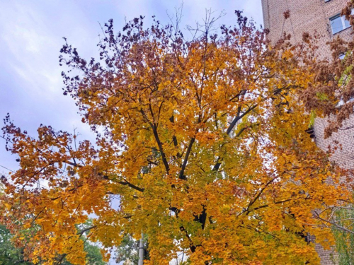 Коротке потепління перед дощами - якою буде погода в Запоріжжі наприкінці робочого тижня