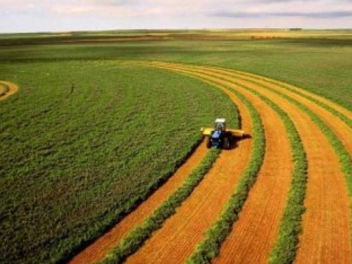 В окупованому селищі Запорізької області росіяни хочуть відібрати в людей землю