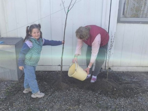 У Запоріжжі на території модульного містечка висадили дерева, фото: Запорізька міська рада