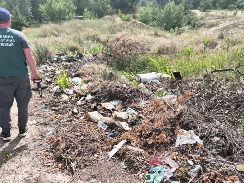 Неподобство на проспекті - в одному з районів Запоріжжя виявили стихійне звалище просто неба (фото)