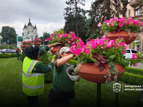 У Запоріжжі центральний проспект перетворюють на квітучу оазу (фото)