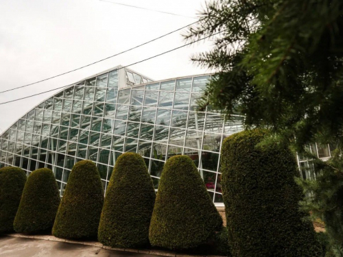 У Запоріжжі ворожі авіабомби пошкодили теплиці та оранжереї міського ботанічного саду (фото)