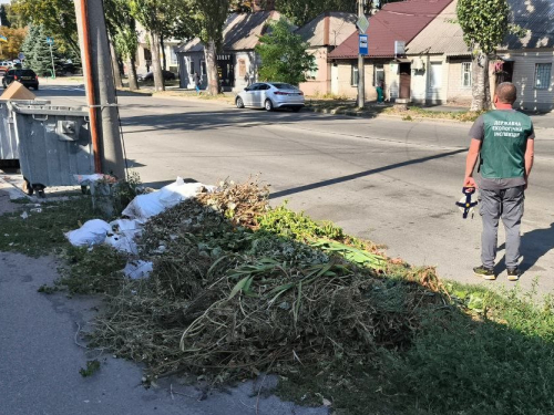 Сміття залишили поруч із баками - у Запоріжжі посеред вулиці утворилось звалище (фото)