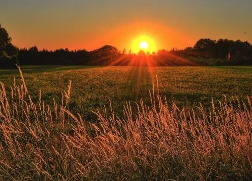 Тепло і без опадів – що прогнозують синоптики у Запоріжжі найближчими днями