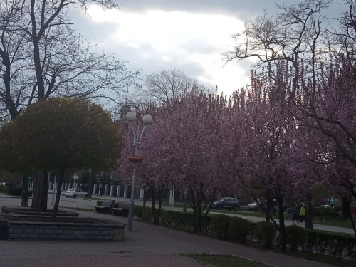 Весна у Запоріжжі, фото Світлани Олійник