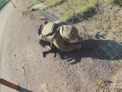 На Запоріжжі поліцейські врятували їжака, який застряг в антидроновій сітці поблизу Кушугума