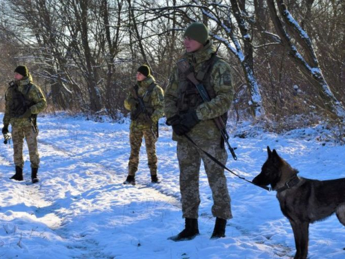 Шукали з собаками: мешканець Запоріжжя намагався нелегально перетнути кордон та заблукав у горах