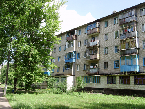 Випала з п'ятого поверху - у Запоріжжі мама та донька врятували травмовану кішку, від якої відмовилися господарі