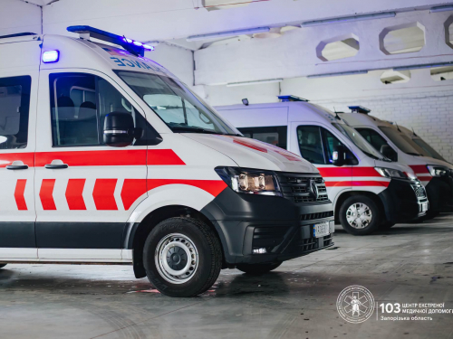 Гра на дереві ледь не обернулася трагедією: на Запоріжжі 11-річний хлопчик заплутався в мотузці