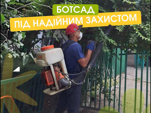 Нашестя сарани в Запоріжжі - ботсад вживає заходів для збереження рослин (фото)