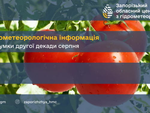 Висушує поля і загрожує врожаю - як серпнева спека вплинула на рослини на Запоріжжі