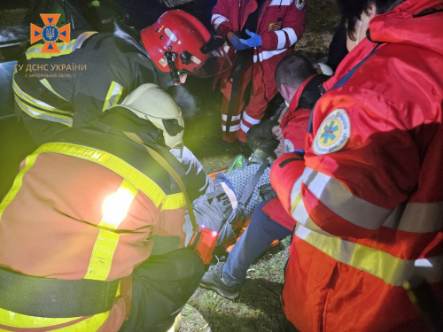 У Запоріжжі автівка влетіла в дерево - водія затисло в машині