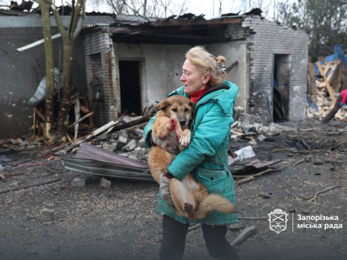 Внаслідок атаки БпЛа був зруйнований притулок «Дай лапу, друже» - волонтери просять про допомогу (фото)