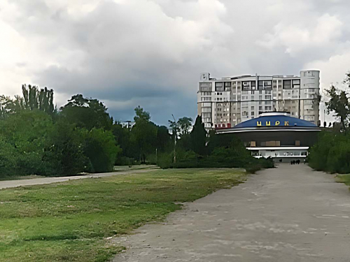 Вшанували пам'ять Героя - у парку в центрі  Запоріжжя висадили кущі лаванди 