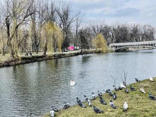 По-весняному мінлива: якою буде погода в Запоріжжі 23–25 березня