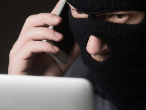 В Запоріжжі шахрайка виманила 27 тисяч гривень за фейкове кошеня, фото: ілюстративне