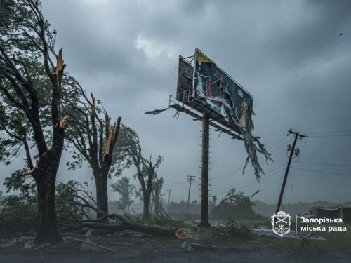 Запоріжжя атакує стихія: вітер валить дерева та зриває рекламу (фото, відео)
