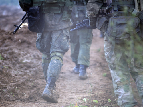 Спецпризначенці вполювали окупантів у лісосмузі на Запорізькому напрямку – відео