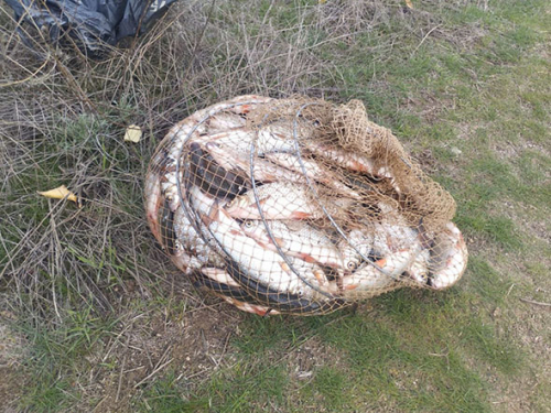 Завдали збитків і отримали протокол - у Запоріжжі рибалки перевищили дозволений улов у кілька разів (фото)