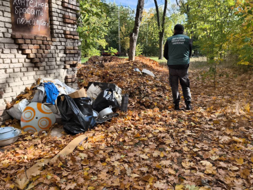  Перетворили двір у звалище - у Запоріжжі екологи виявили стихійний смітник (фото)