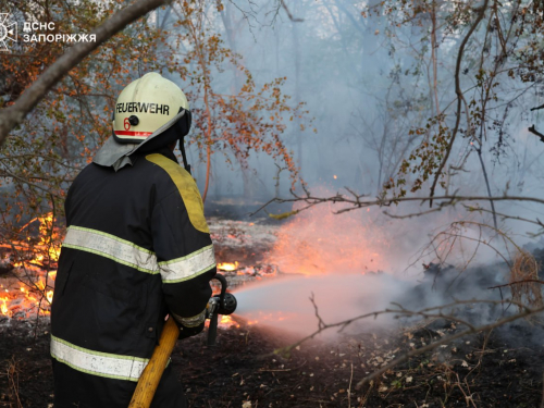 Вогонь на Хортиці - рятувальники вже другу добу борються з наслідками масштабної пожежі (фото)