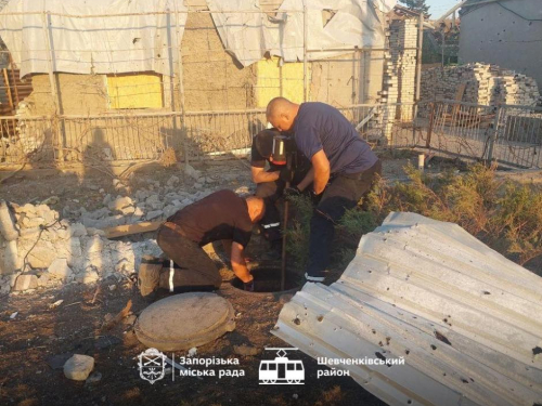 Провалився під землю - у Запоріжжі врятували песика, який впав у яму (фото)