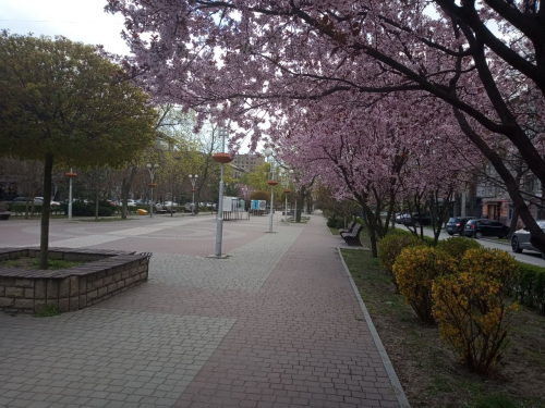 Бульвар Марії Примаченко у Запоріжжі, фото Світлани Олійник