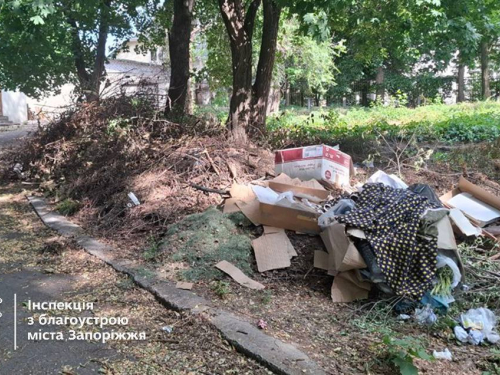 Гори мотлоху - в центрі Запоріжжя виявили сміттєзвалище поблизу парку (фото)