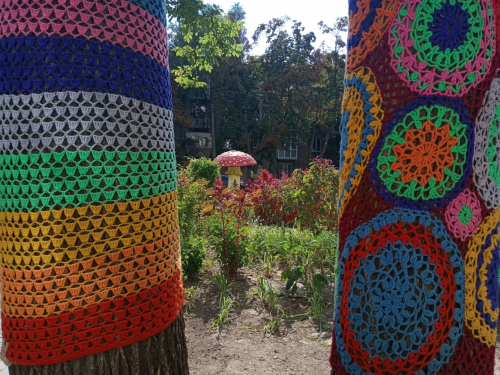 Незвичайна локація з в’язаними деревами у Запоріжжі. Фото: Світлана Олійник