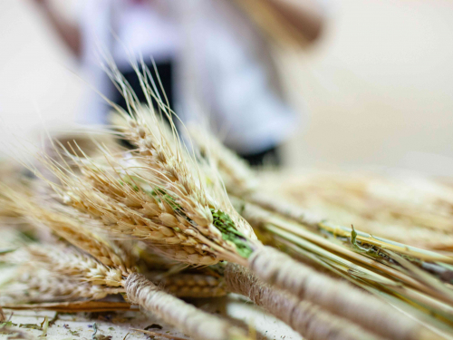 Різдвяна магія - у запорізькому ком’юніті-центрі «Опліч Хаб» відбувся майстер-клас з етнотерапії