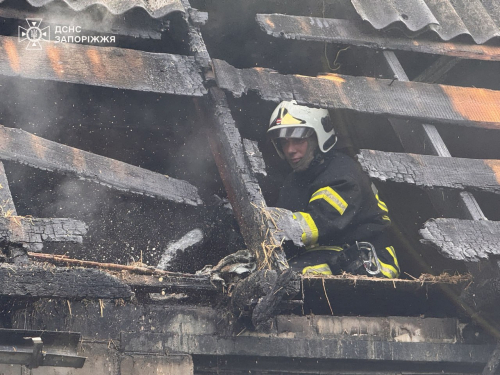У Запоріжжі горів житловий будинок, фото: ГУ ДСНС України у Запорізькій області