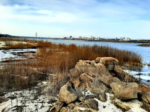 Нова загроза на Запоріжжі: мешканців попереджають про нові російські міни-«пряники» (фото)