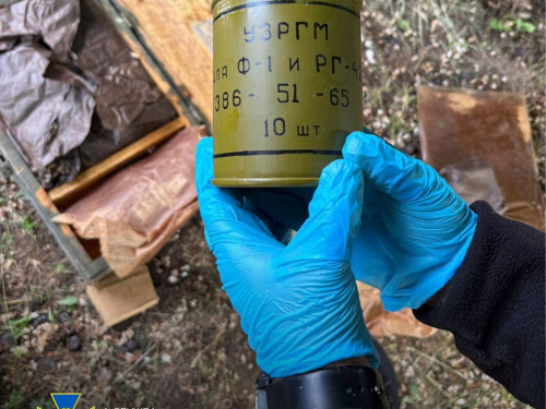 На Запоріжжі та Дніпропетровщині викрили канал незаконного збуту зброї