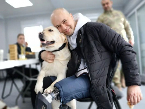 Собаки-терапевти допомагають ветеранам Мелітопольщини, фото РІА Південь  