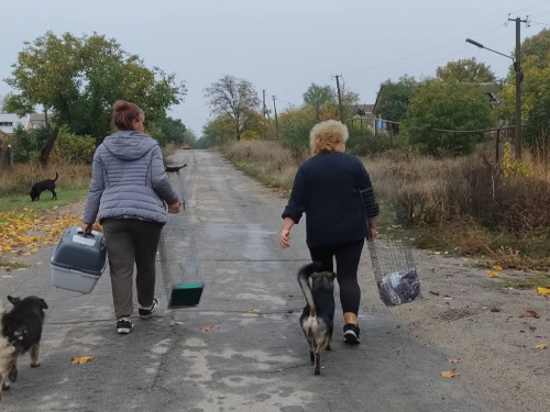 Евакуація тварин з прифронтових територій Запорізької області