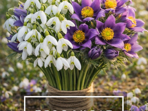 Екологи нагадали запоріжцям, чому не можна зривати первоцвіти, фото: Держекоінспекція Південного округу 