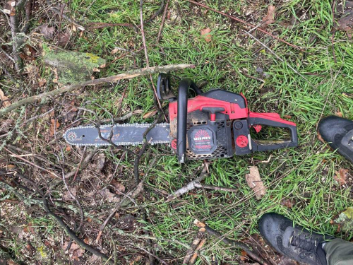 Екоінспекція викрила вирубку дерев — що знайшли під час рейду в Запорізькому районі (фото)