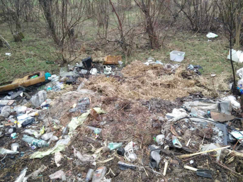 Викидав сміття біля Запорізького дуба – екоінспектори знайшли чоловіка, який прославився в соцмережах (фото)