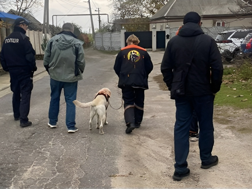 Дві доби блукала - у Запорізькому районі знайшли літню жінку, яка пішла з дому і не повернулась (фото)
