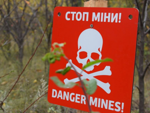 Небезпечний "метелик" - у Запоріжжі на узбережжі Дніпра знайшли протипіхотну міну