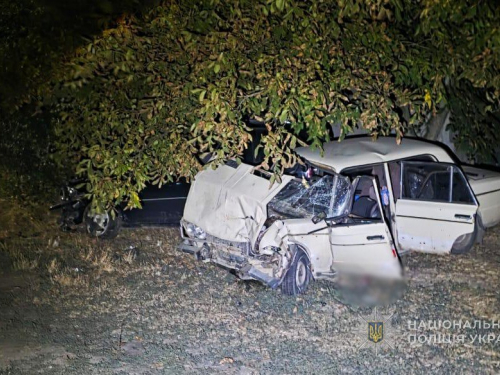 Поліція відкрила кримінальне провадження, з'ясовує обставини аварії, внаслідок якої загинув водій