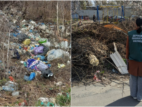 Запорізькі екологи виявили нові звалища біля будинків і футбольного поля у трьох районах міста