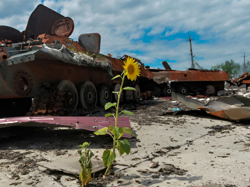 Сума збитків зростає щодня - екологи оцінили масштаби шкоди довкіллю Запорізької області, завданих війною