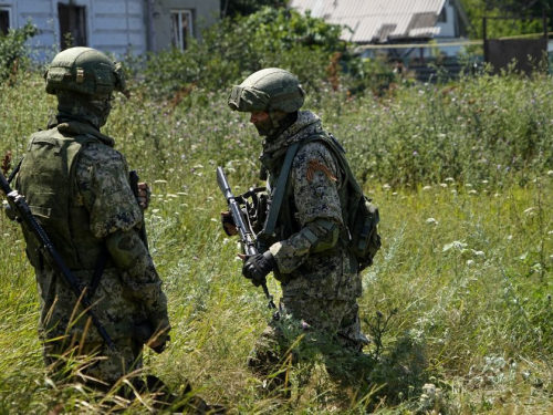 Моторошний бізнес - на окупованих територіях Запорізької області зникають домашні тварини