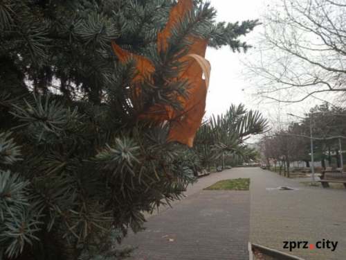 Головний парк спального району Запоріжжя отримав нову назву - подробиці