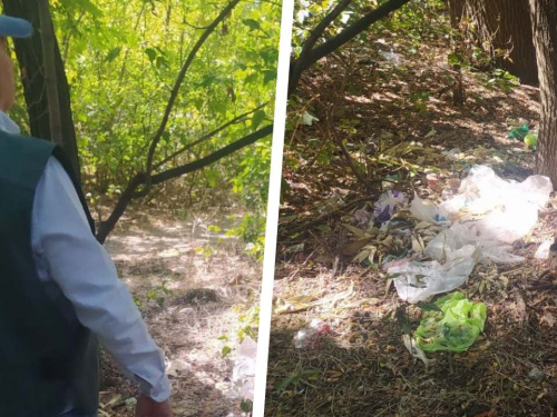Стихійні смітники у лісосмузі – мешканці Запоріжжя поскаржились екологам (фото)