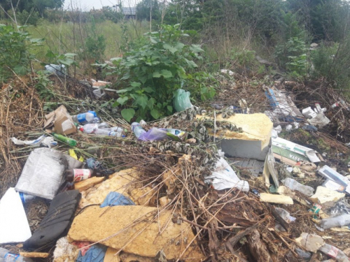 У Запоріжжі створили комісію для боротьби зі стихійними сміттєзвалищами: куди звертатися
